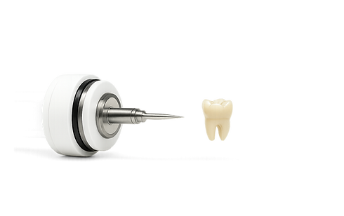 ChatGPT Image 16 nov_edited.png