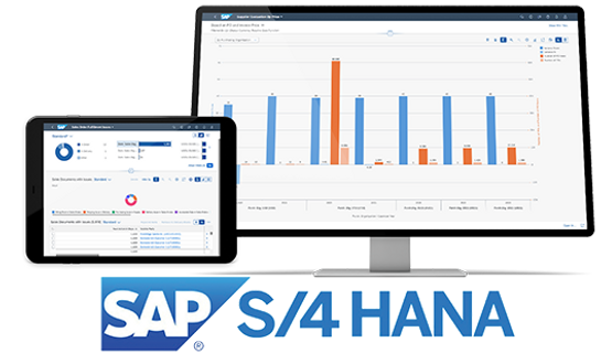SAP S/4 HANA Implementation by Tetris East Africa Ltd