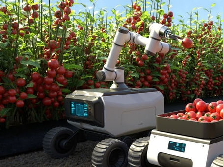 Smart Farming