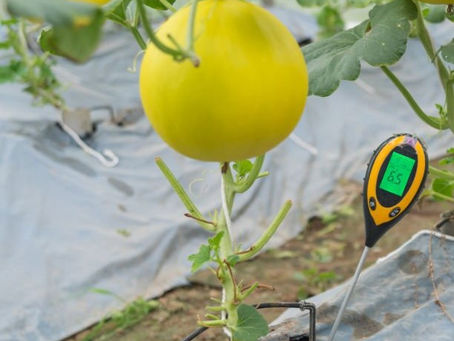 Low-Cost IoT Sensors Monitor Soil Moisture, Temperature and Soil Health