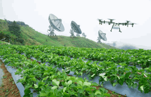 Radar-Based Satellites are more Effective than Optical-Based Satellites