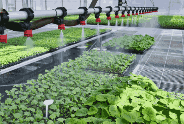 Sprinkler Irrigation System in Smart Farming