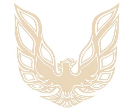 Trans-Am Firebird