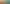 rytual.png