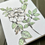 Thumbnail: Rose-Garden Series Prints, Cards, Bookmark, Sticker