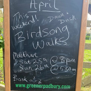 This weekend: dawn and dusk woodland walks