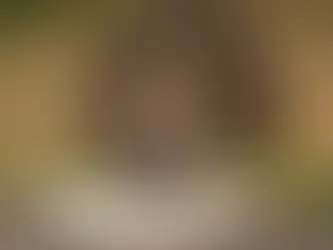 How to help wildlife in a summer heatwave