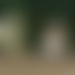 Spotting signs of (wild)life