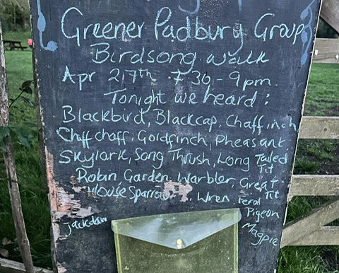 Millennium Wood birds perform beautifully!