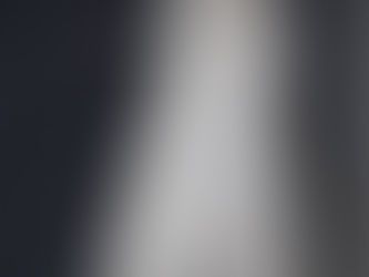 There are more moths than expected in the Millennium Woods!