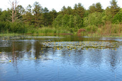 IMG_3612.JPG