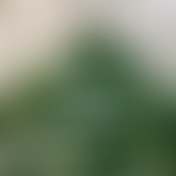 What Are You Planting?