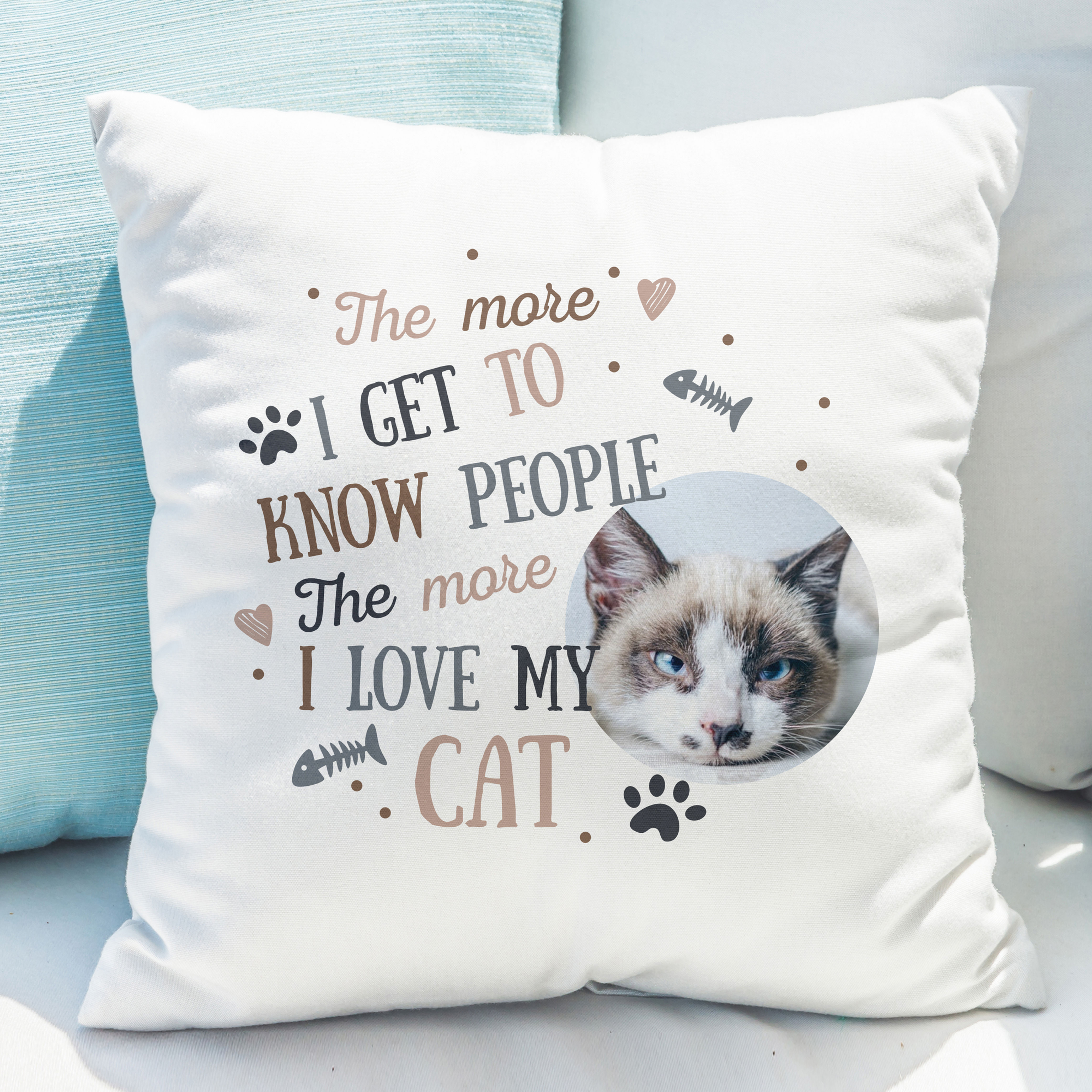 Cat Cushion