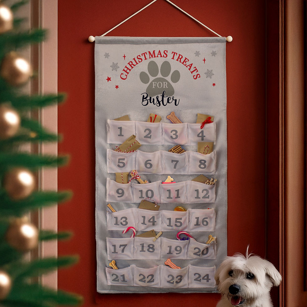 Pet Advent Calendar