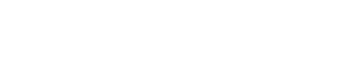 AriVac.png