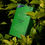 Thumbnail: Tregothnan - Green Tea 25 Sachet Box