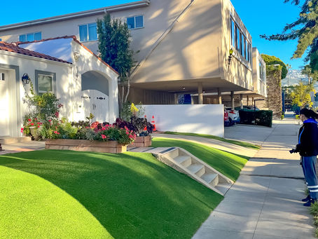 Unlock a Lush, Diverse Landscape with Comprehensive Lawn Installation Services