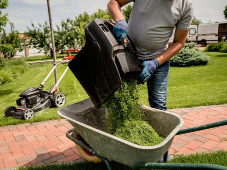 Mastering the Art of Lawn Maintenance