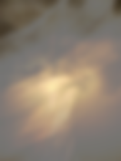PLB 02.png