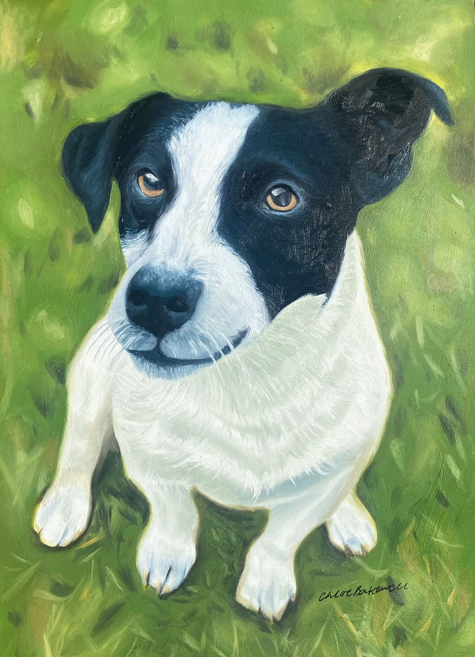 Sheldon - commissioned piece