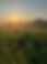 IMG_1832.jpeg