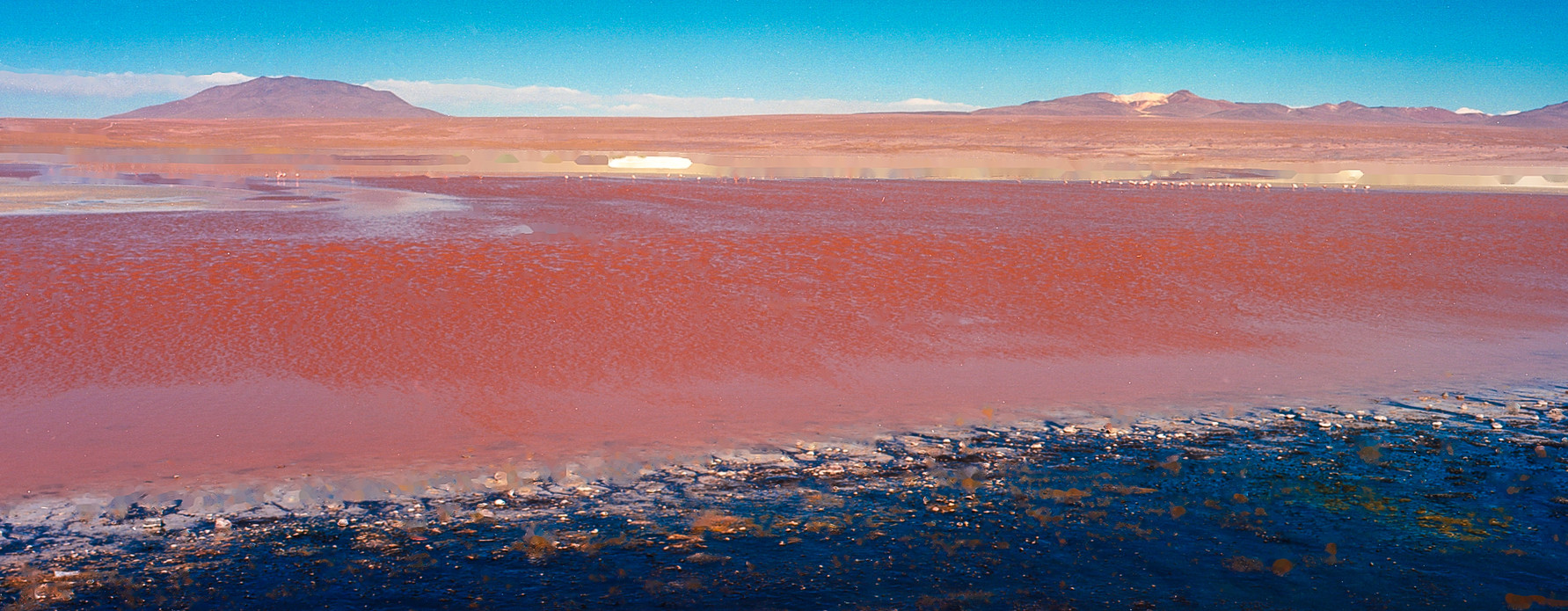 Bolivien Colorado (57)