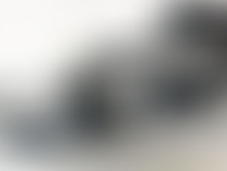 Millinocket Dairies, Part 2