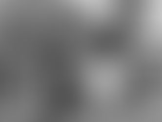 Confectionery Stores