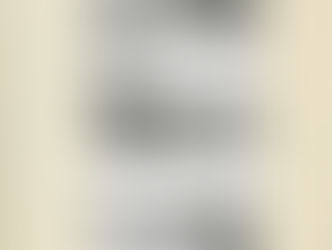 Edgar Prouty's Report on Dams