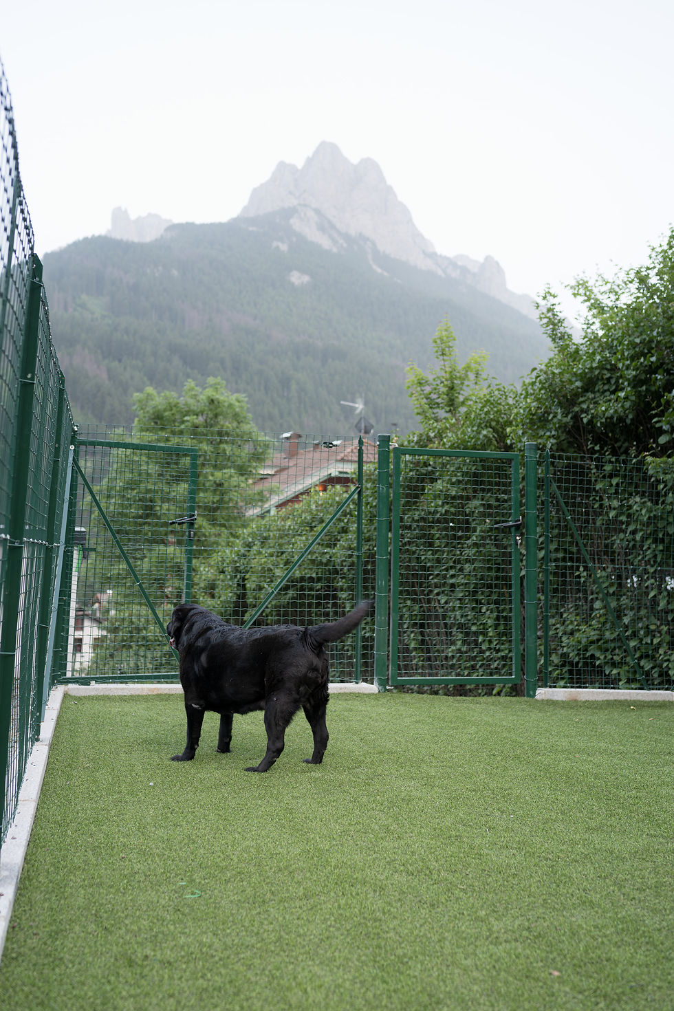 240621 Dolomiti Exclusive giardino sera -30.jpg