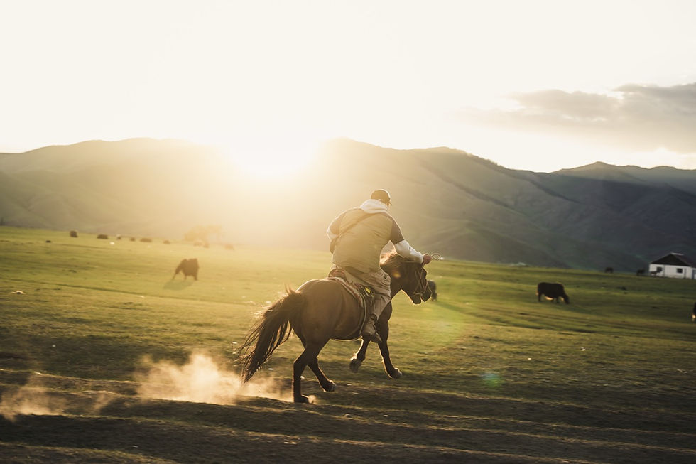 Cavaliere al galoppo nella steppa mongola — polvere, controluce, tramonto. L'immagine che si ottiene solo quando il fuoco è già bloccato sul soggetto prima che arrivi il momento.