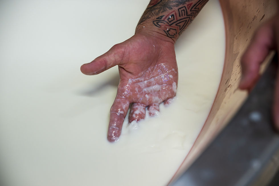 controllo lavorazione latte