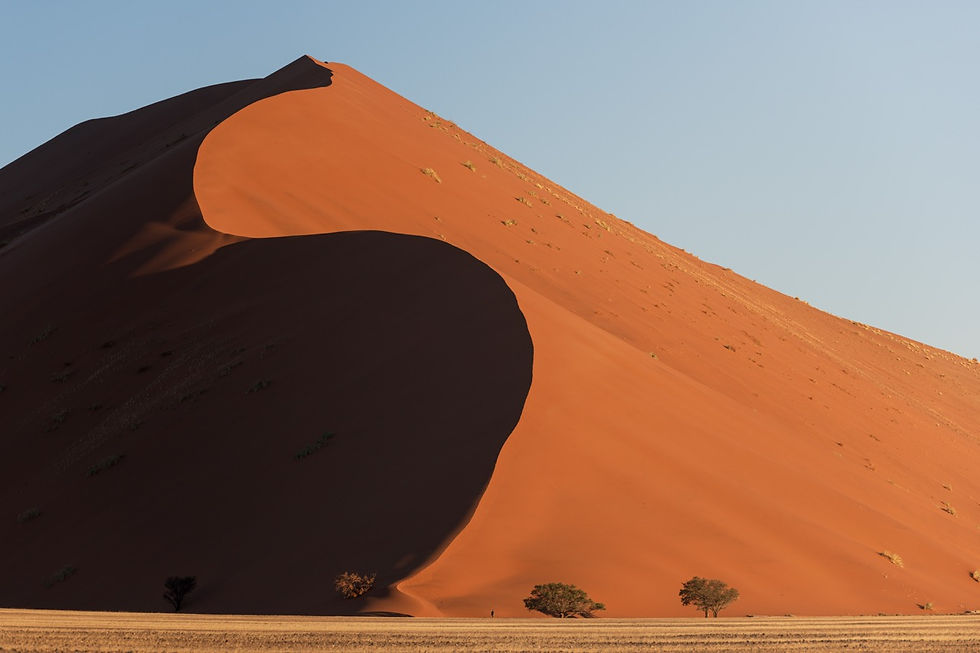 Duna monumentale divisa tra fianco in piena luce e ombra profonda, alberi e figura minuscola alla base. Chiaro e scuro nello stesso frame: è qui che l'esposimetro va in crisi.