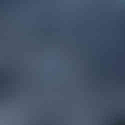 white wood in winter