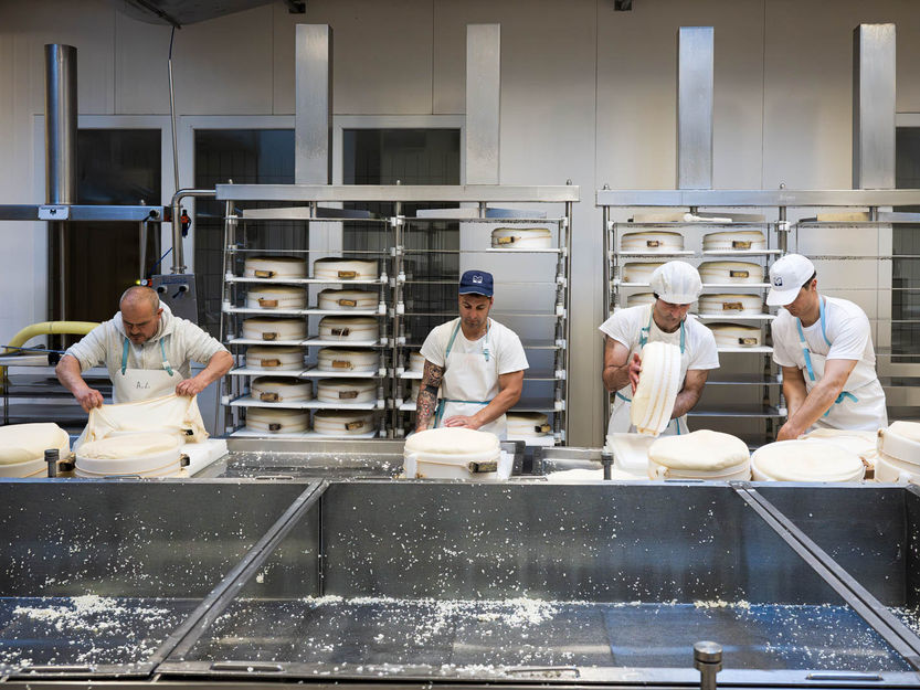 casaro che forma e pressa la forma di formaggio