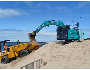 Bayside Council Beach Replenishment - Rare Environmental