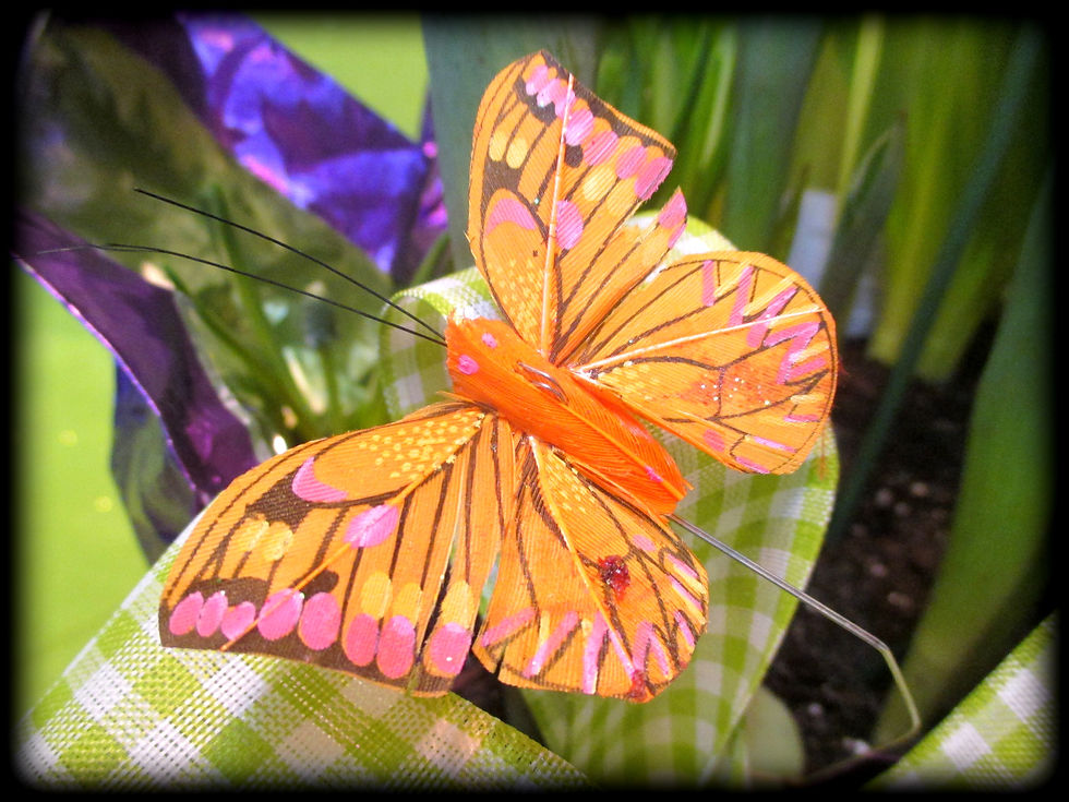 Thumbnail: Birthday Celebration 04