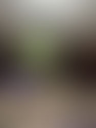 Your New Companion? My 10-day Review Of The Huawei Watch Fit 4 Series