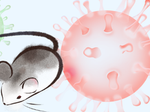 All You Need to Know About the Hantavirus and How You Can Protect Yourself From It