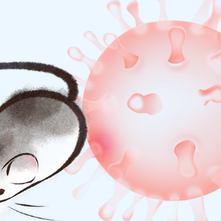 All You Need to Know About the Hantavirus and How You Can Protect Yourself From It