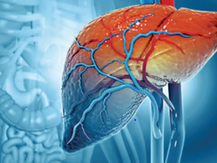 Hiding in Plain Sight: The Silent Threat of Hepatitis