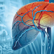 Hiding in Plain Sight: The Silent Threat of Hepatitis