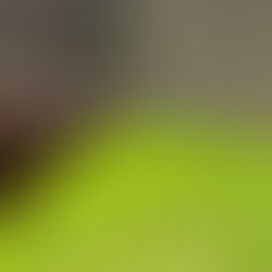 iPhone Air Review: Apple's Latest Experiment