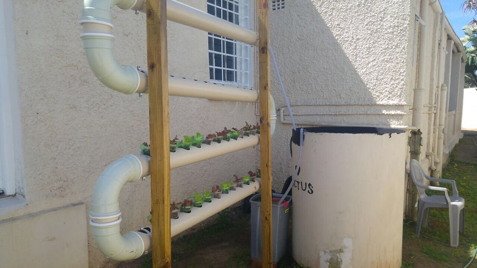 Aquaponics
