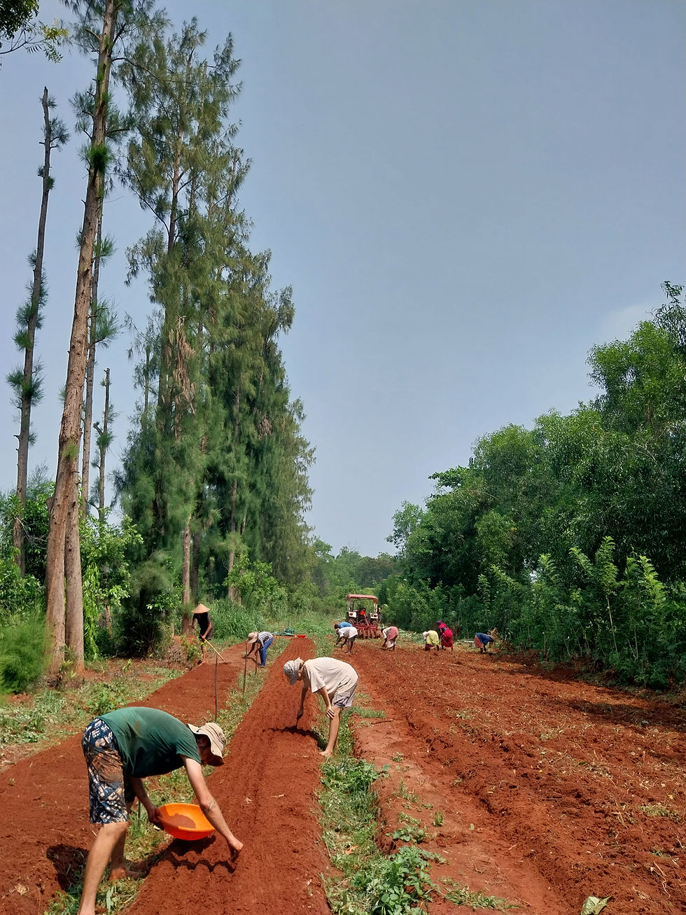 Organic Farms