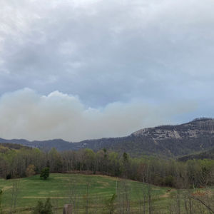 United States Forest Service