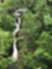 IMG_7322.jpeg