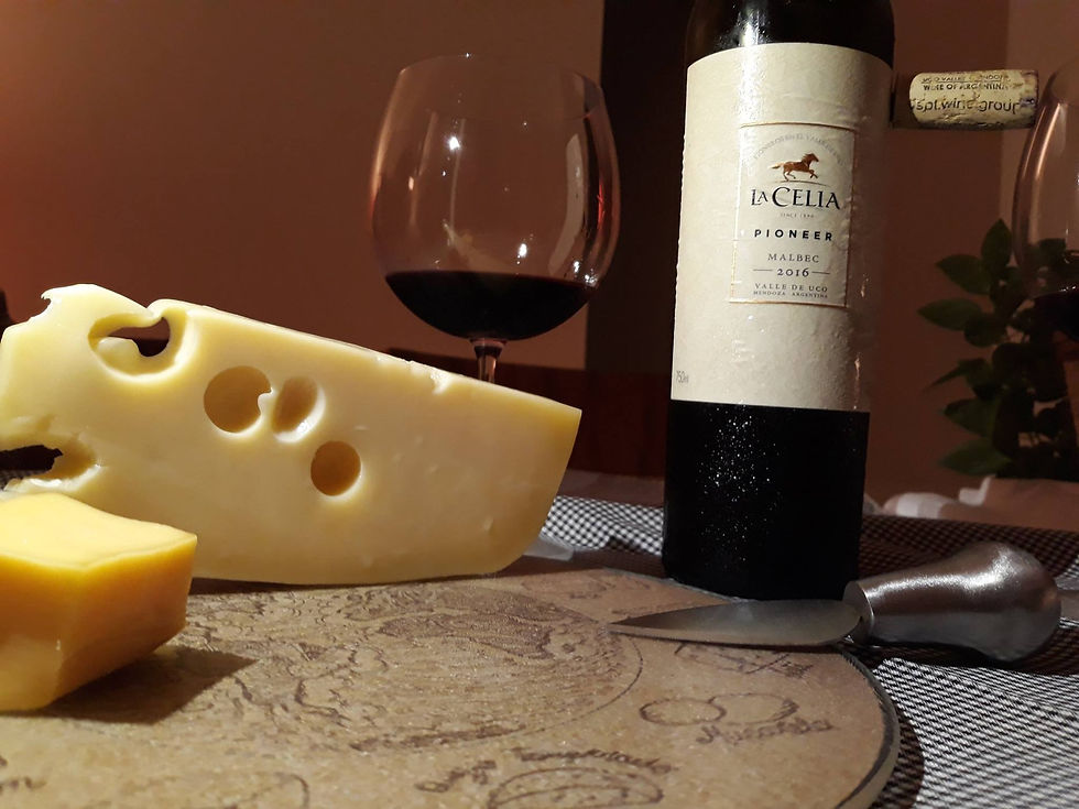 La Celia Pioneer Malbec 2016 com queijos Gruyère e Gouda.