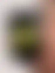 Never Underestimate the power | Motivational Poster