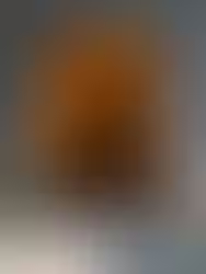 Rani Velunaachiyar | Queen Of Sivagangai | Thamizh History Poster